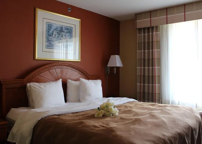 Quality Inn & Suites Cincinnati Sharonville