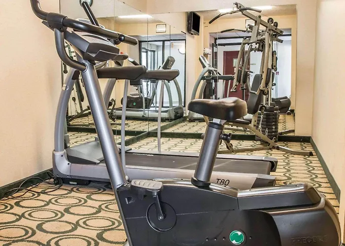 Comfort Inn Whitehall Near Michigan'S Adventure