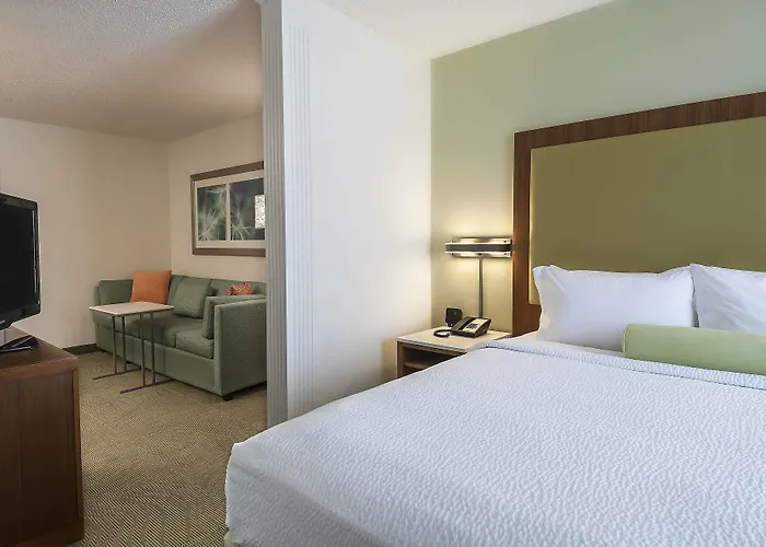 Springhill Suites By Marriott Baton Rouge South