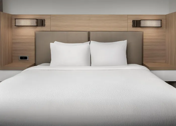 Springhill Suites By Marriott Atlanta Buford/Mall Of Georgia