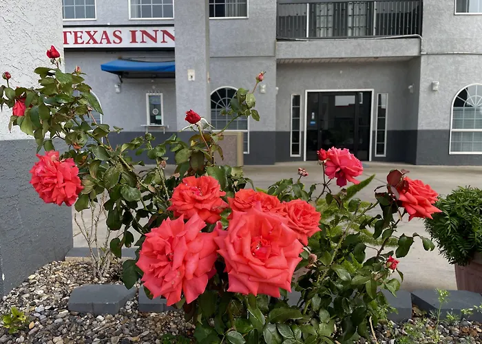 Texas Inn La Feria