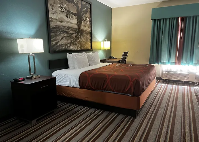 Super 8 By Wyndham Port Arthur/Nederland Area