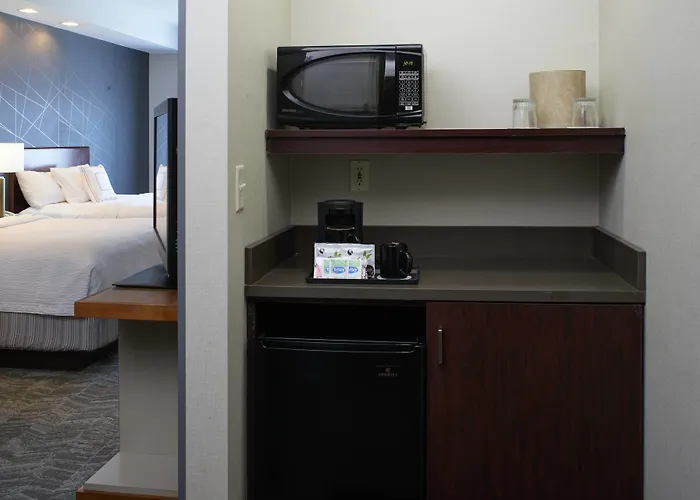 Springhill Suites By Marriott Frankenmuth