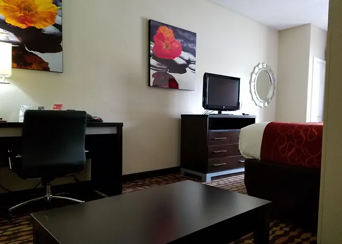 Comfort Suites Northside Hospital Gwinnett