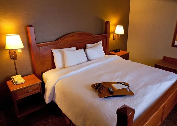 Comfort Inn & Suites Rapid City Near Mt Rushmore