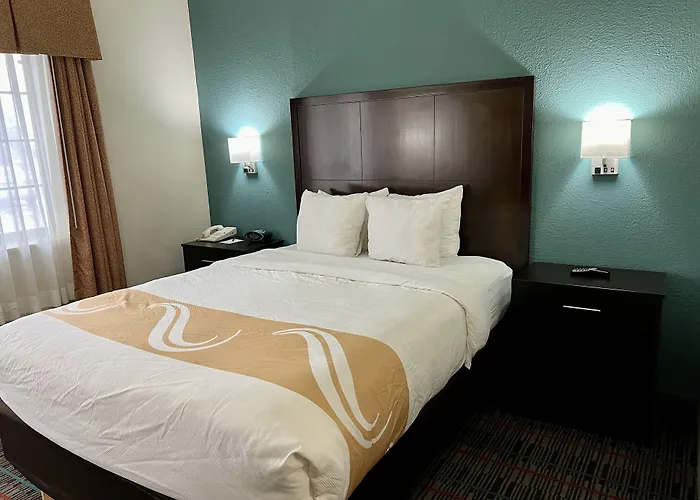 Quality Inn & Suites Near University