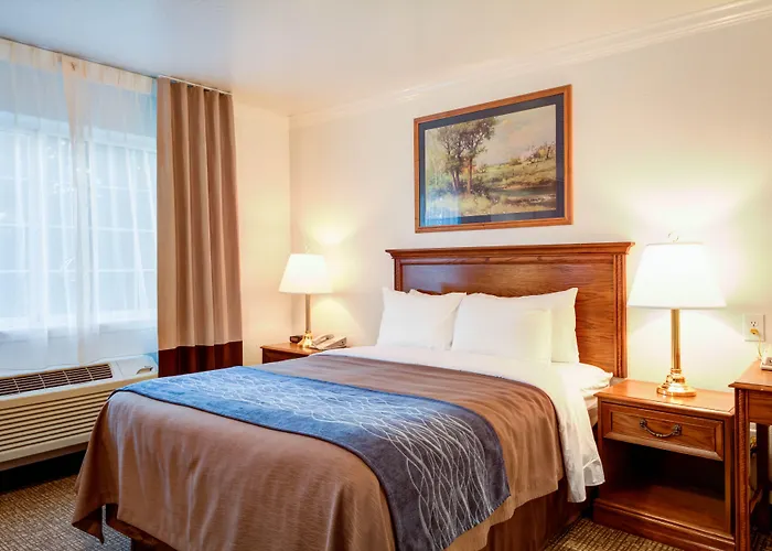 Best Western Paradise Hotel