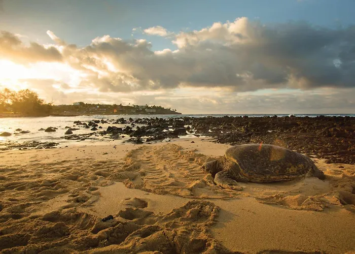 Marriott'S Waiohai Beach Club