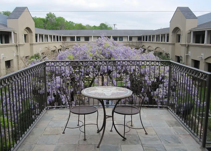 Vineyard Court Designer Suites Hotel