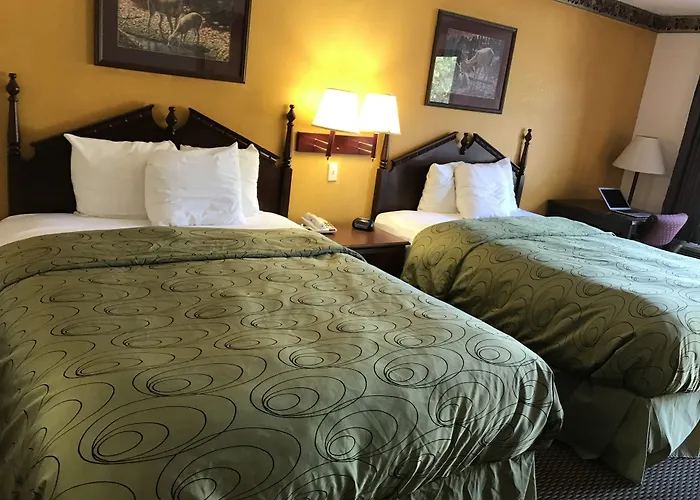 Clairmont Inn & Suites - Warren
