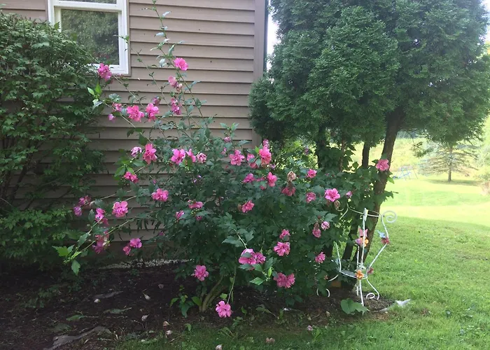 Spruce Hill Inn & Cottages