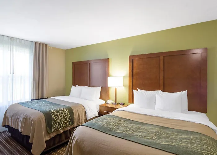 Comfort Inn & Suites Fayetteville-University Area