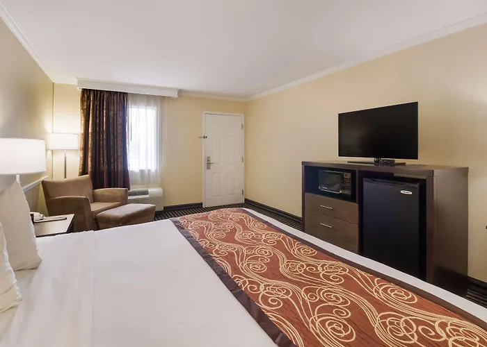 Best Western - Mckenzie