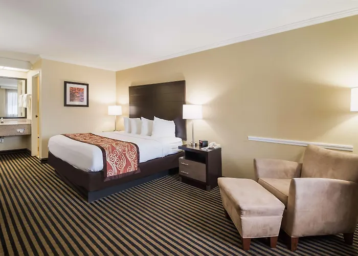 Best Western - Mckenzie