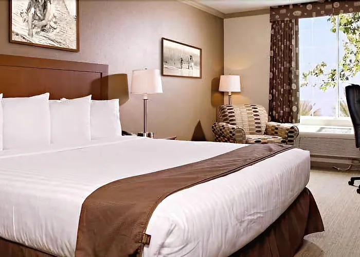 Signature Hotel By Tachi