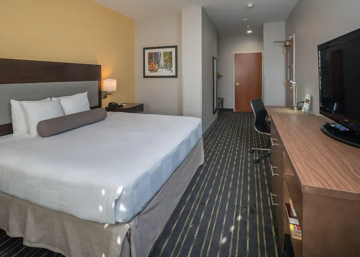 Hotel Aura Sfo Airport Free Shuttle