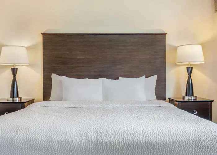 Baymont By Wyndham Bloomington Msp Airport