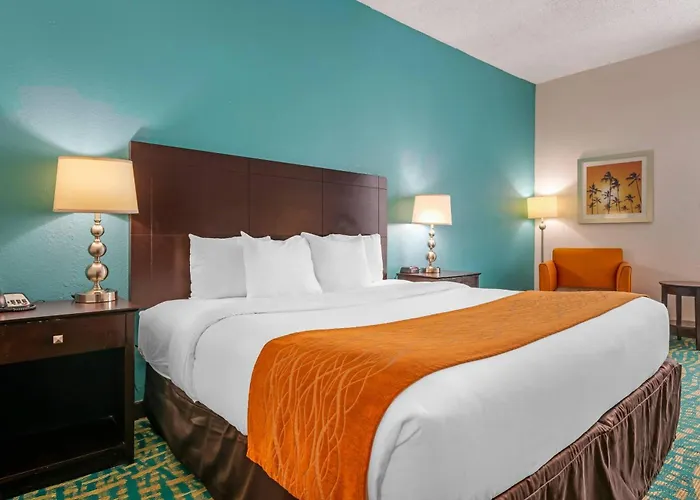 Comfort Inn & Suites Fort Lauderdale West Turnpike
