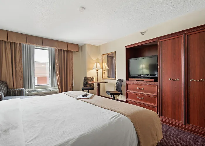 Stay Usa Hotel And Suites