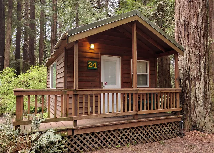 Emerald Forest Cabins
