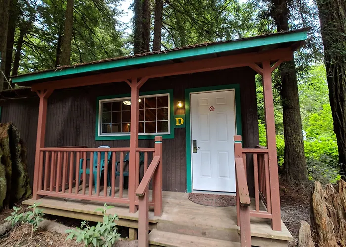 Emerald Forest Cabins