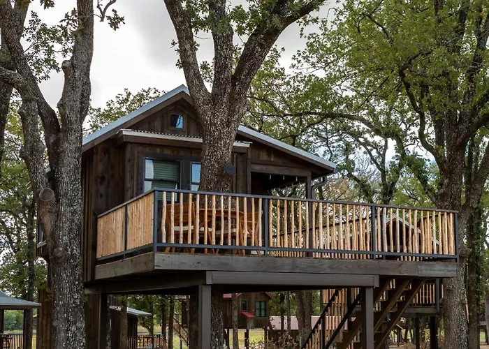 Cedar Waxwing Treehouse15 Min To Magnoliabaylor