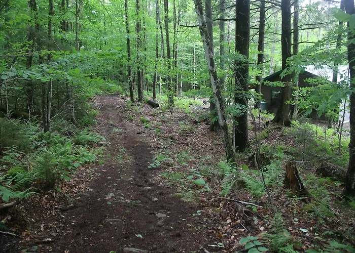 Camp Bear Path