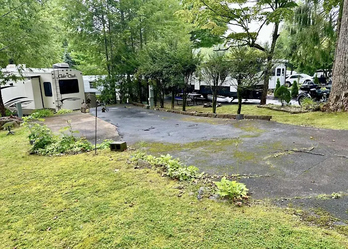 Crofty Bear - Empty Rv Camping Lot In Gatlinburg