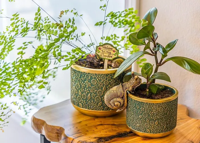 Rainforest Tiny Home Retreat Enchanted