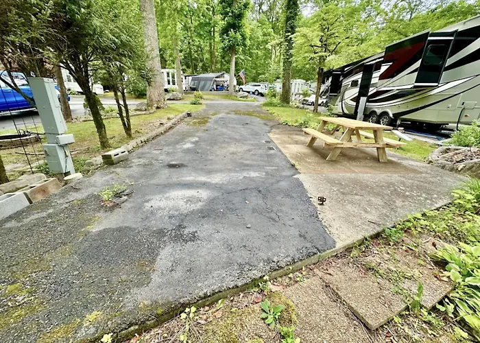 Crofty Bear - Empty Rv Camping Lot In Gatlinburg