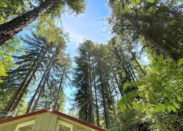 Cozy Cabin Deep In The Redwoods With Wifi And Hot Tub