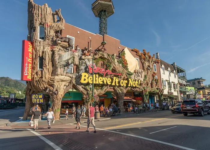 Country Bears Getaway By American Patriot Getaways