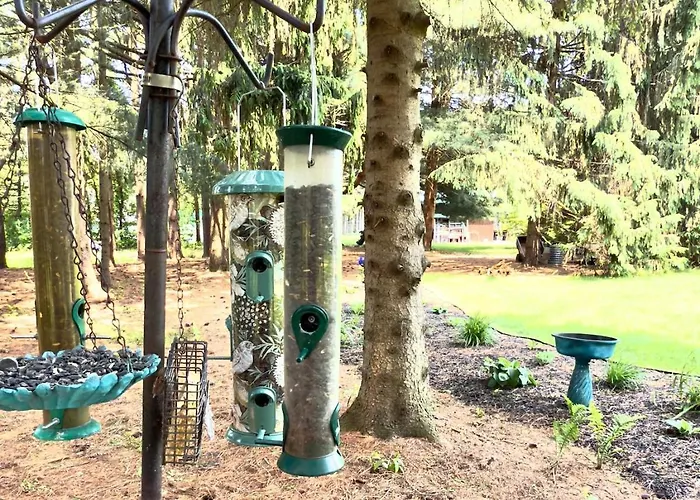 The Dorothy- Private Ravine Wooded Lot, With Game Room, Close To All!