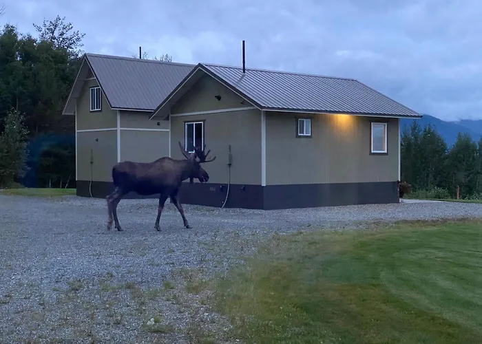 Fireweed Cottage Alaska At Your Doorstep!