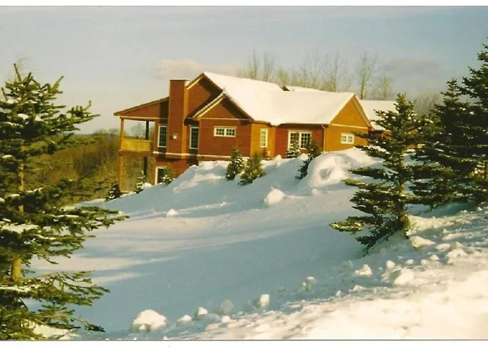 Sunny Days At Shanty Creek