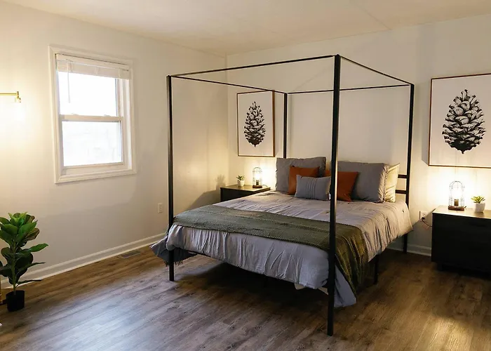 "Morning View 3" Cozy Modern Stay - College/Hiking