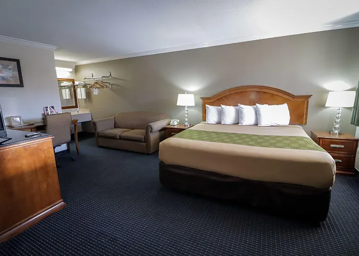 University Inn & Suites