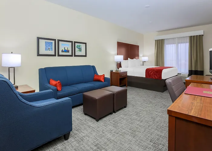 Comfort Suites Dfw N-Grapevine
