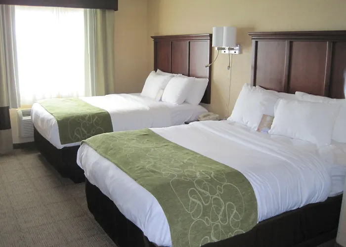 Comfort Suites Columbia - University Area