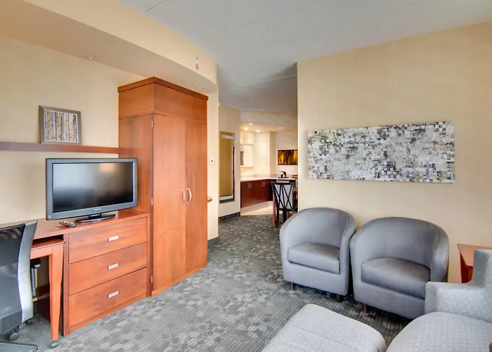 Courtyard Rochester Mayo Clinic Area/Saint Marys