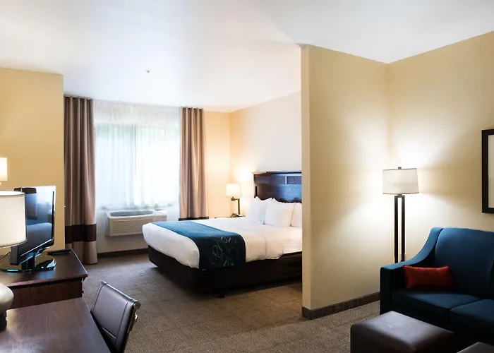 Comfort Suites Lake Geneva East
