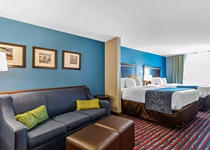 Comfort Suites Fairview Heights Saint Louis