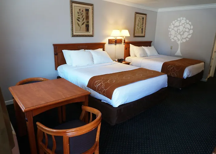 Journey Inn