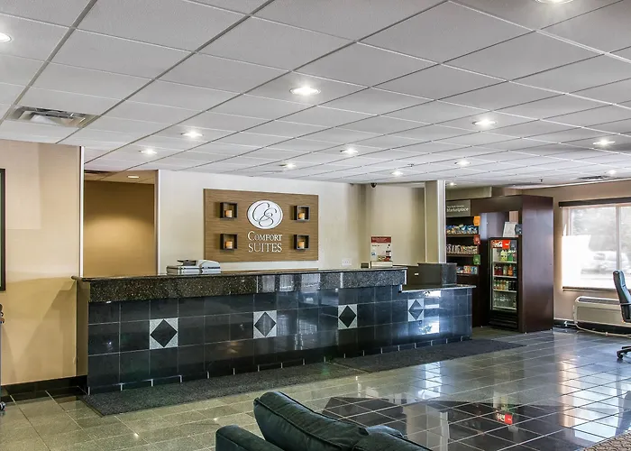 Comfort Suites Wixom - Novi