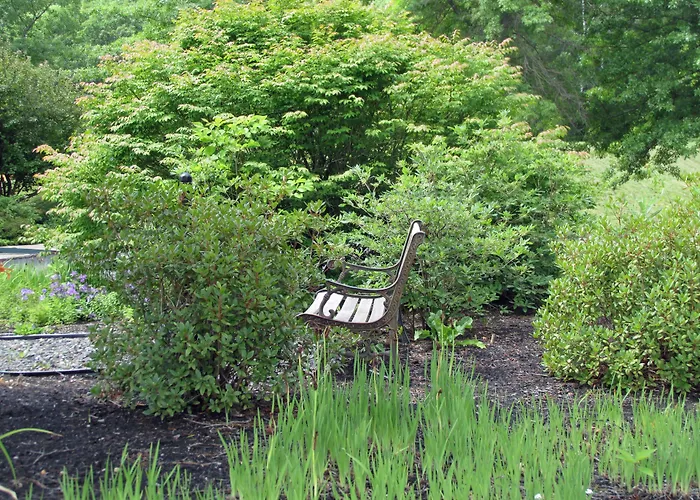 The Lodge At Jackson Village