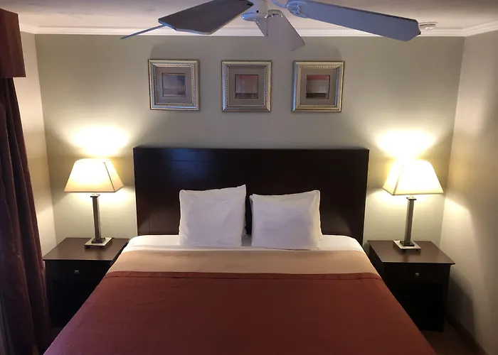 Global Inn
