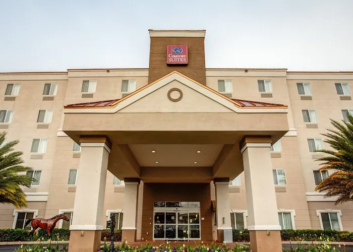 Comfort Suites Ocala North