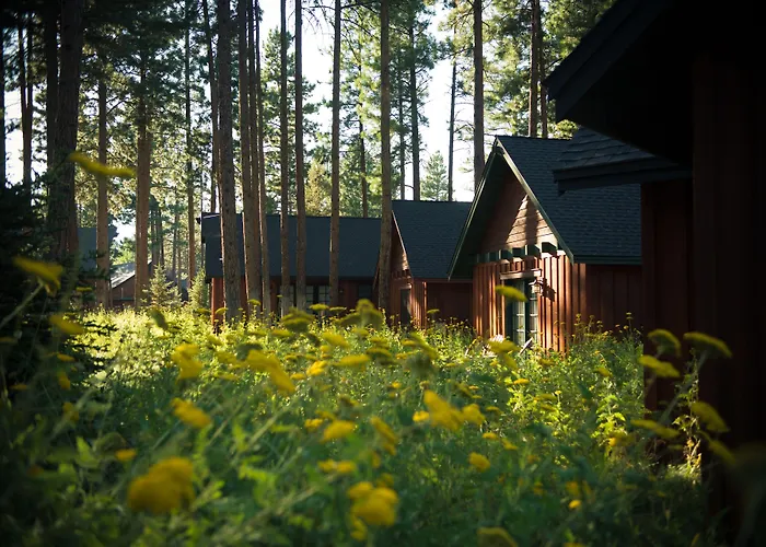 Fivepine Lodge