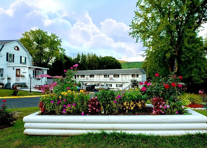 Willows Motel