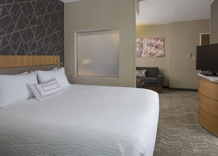 Springhill Suites St. Louis Airport/Earth City